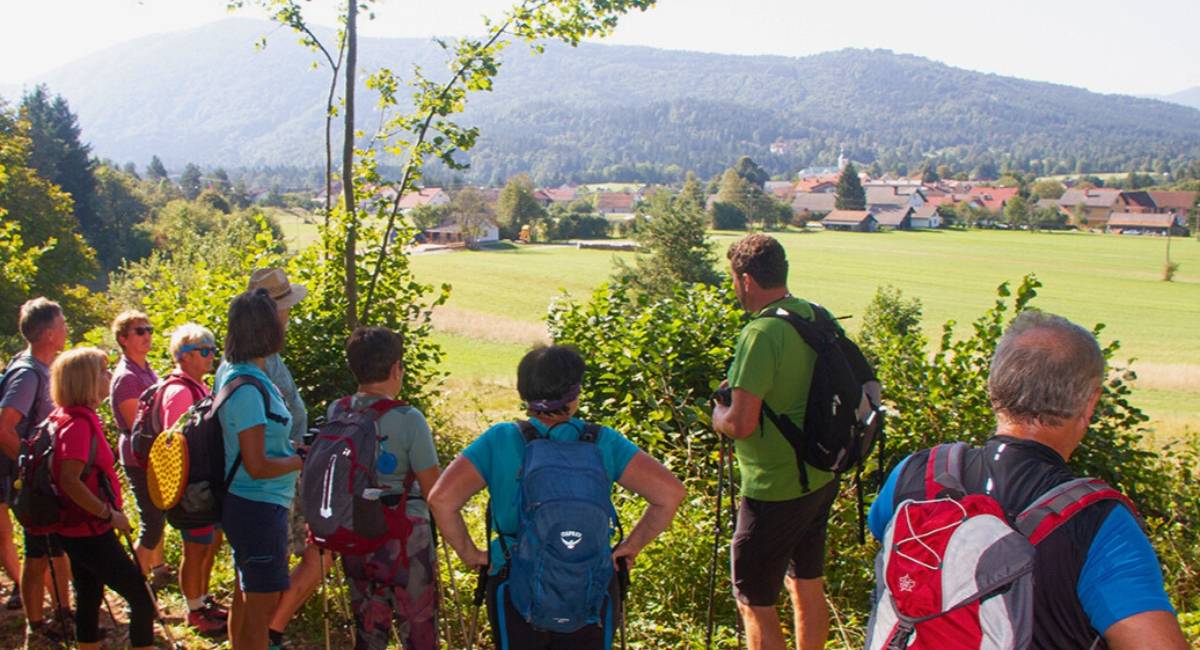 Hiking festival: Following the bear's footsteps