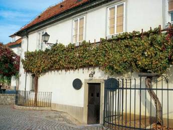 Anniversary of the Old Vine House in Maribor