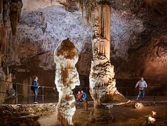 Postojna cave in the finals for European Business Awards