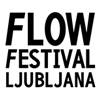 Flow International Festival Visits Slovenia
