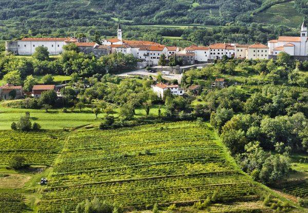 Lonely Planet lists Vipava Valley among Best in Europe