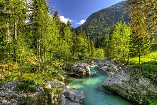 Nova publikacija Naravni parki v Sloveniji