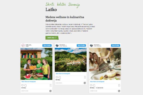 Skriti kotički Slovenije: Medena wellness in kulinarična doživetja v Laškem