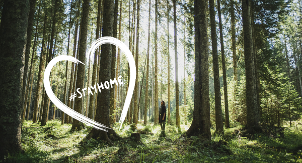 Video »Time to #stayhome. Turn to nature and dream« navdušuje gledalce po vsem svetu
