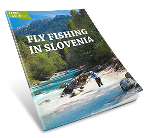 Fly fishing in Slovenia