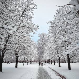 Snowy fairytale • today at Tivoli, Ljubljana  
#ifeelsLOVEnia #mojaslovenija #visitljubljana 

 @jozornik