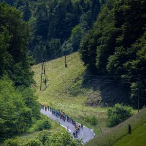  Highlights of the 2nd stage of Tour of Slovenia ‍♂️ From Žalec to Ormož 
A scenic ride through a lush green scenery. #ifeelsLOVEnia #fightforgreen #tourofslovenia @tourofsloveniaofficial 
 Sportida