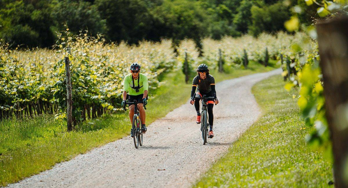 Nova kolesarska pot »Slovenia Green Gourmet Route« v ospredje postavlja zeleno ponudbo Slovenije