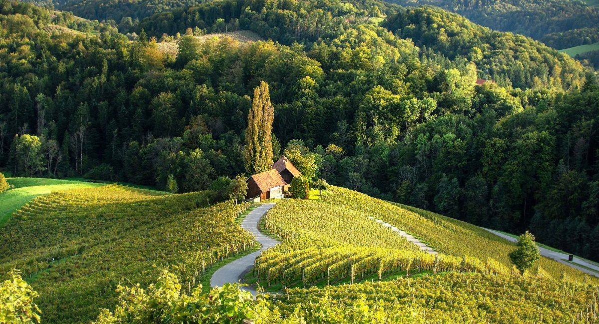 30 let Slovenije kot samostojne turistične destinacije