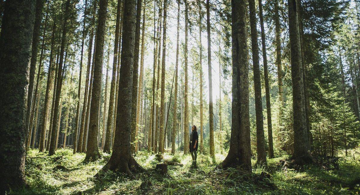 6. Evropski teden gozdov v znamenju prihodnosti gozdov
