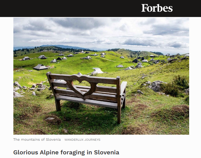 Forbes uvrstil Veliko Planino in Slovenijo na seznam sanjskih destinacij