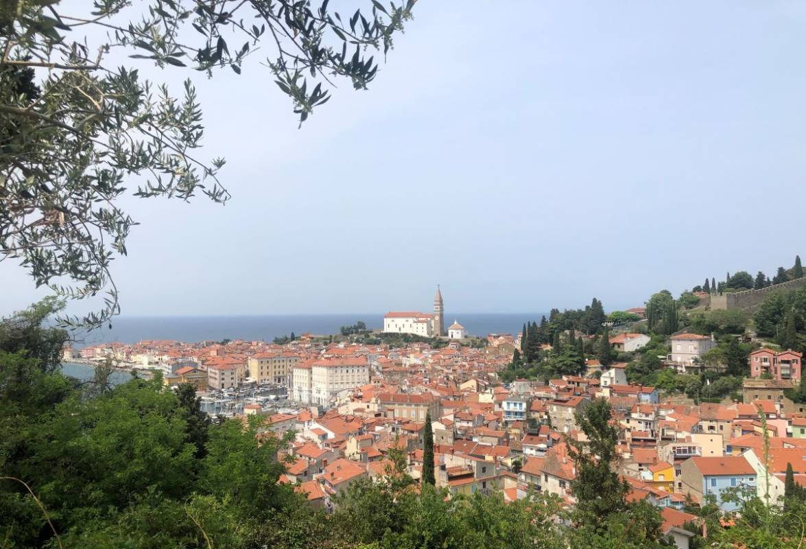 NEW! Blue Green Routes of Piran