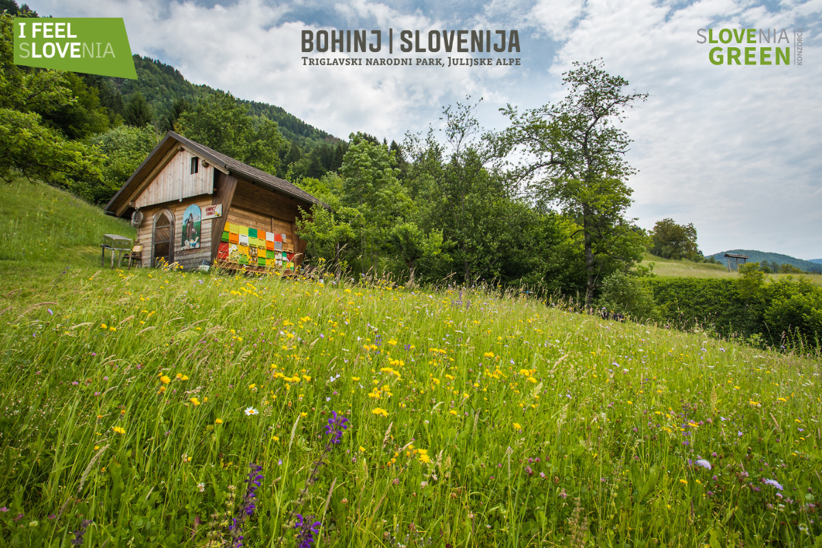 Zeleni dan slovenskega turizma letos v Bohinju