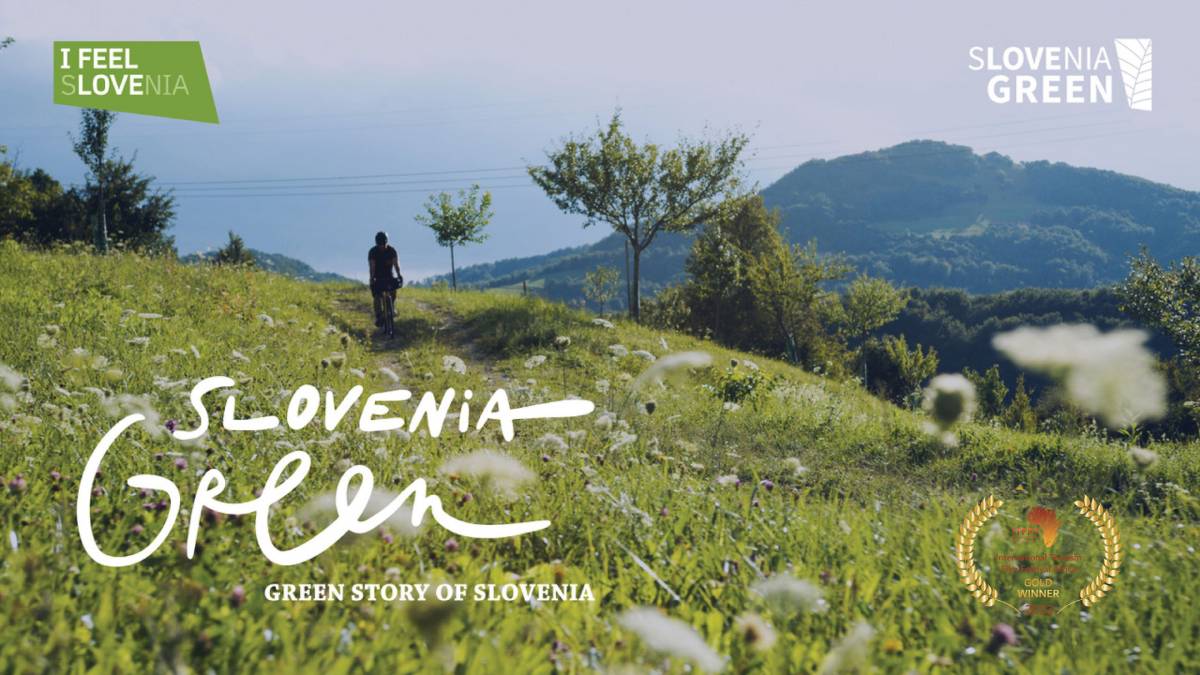 Slovenia Green med zmagovalci mednarodnega filmskega festivala v Južnoafriški republiki