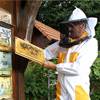 World Bee Day confirmed by Apimondia