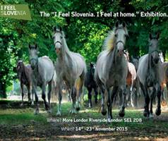 "I Feel Slovenia. I Feel at Home. exhibition in London