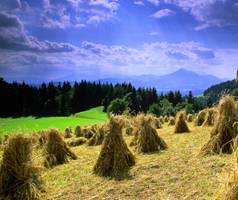 Tourism in Slovenia in the first half of 2015