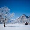 Winter joys from Bled to Bohinj