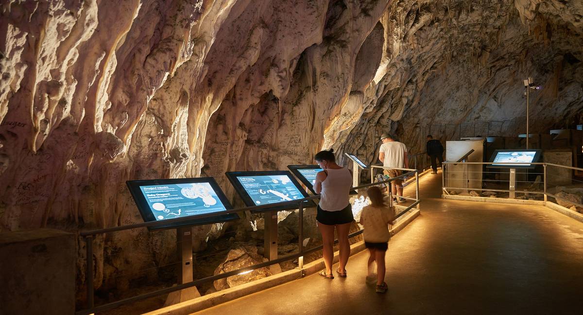2017 marks a record-breaking year for Postojna Cave