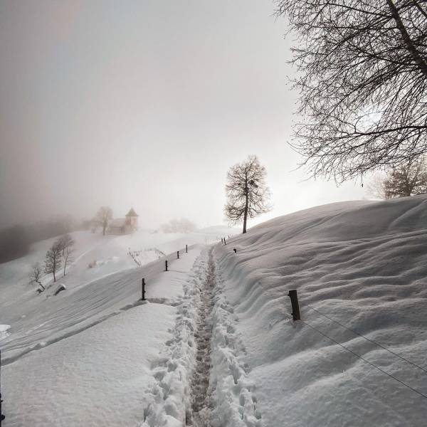 ❄️Imagine a long #hike in fresh snow ‍♀️⁠
⁠
#ifeelsLOVEnia #mojaslovenija #sloveniaoutdoor #slovenianature #winterslovenia⁠
⁠
Photo by @anomisblog