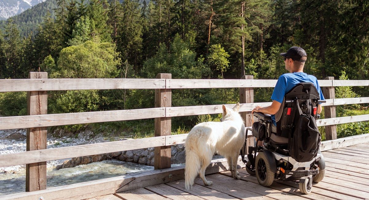 Mann im Rollstuhl mit seinem Assistenzhund bei einem Ausflug in die Natur.